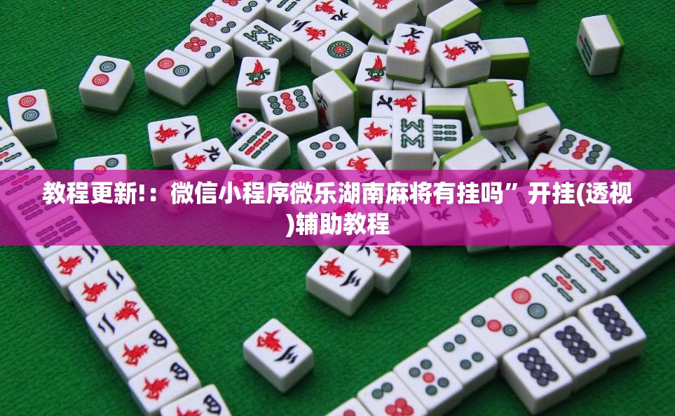 教程更新!：微信小程序微乐湖南麻将有挂吗”开挂(透视)辅助教程