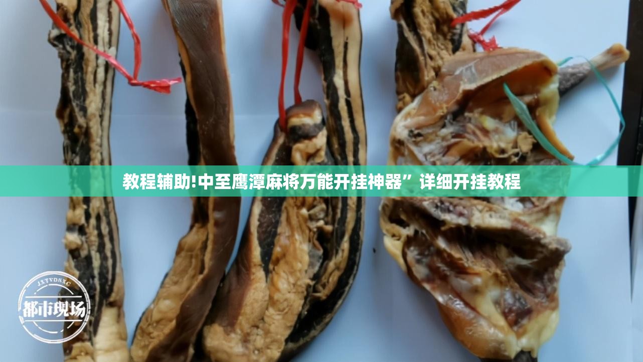 教程辅助!中至鹰潭麻将万能开挂神器”详细开挂教程