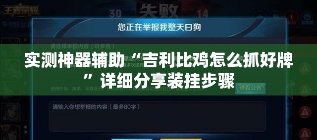 实测神器辅助“吉利比鸡怎么抓好牌”详细分享装挂步骤