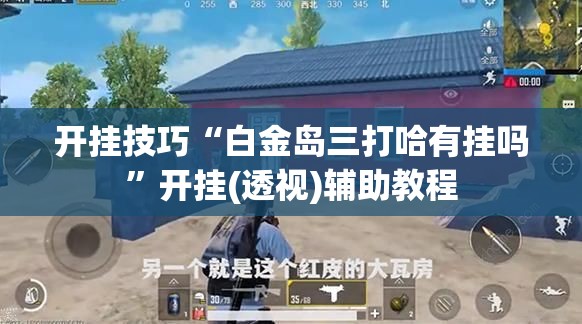 开挂技巧“白金岛三打哈有挂吗”开挂(透视)辅助教程