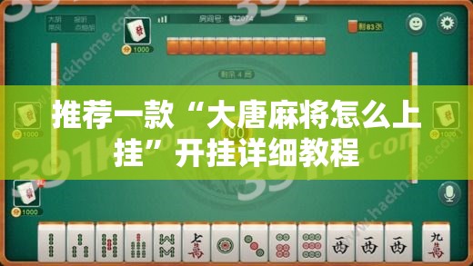 推荐一款“大唐麻将怎么上挂”开挂详细教程