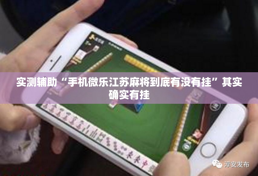 实测辅助“手机微乐江苏麻将到底有没有挂	”其实确实有挂