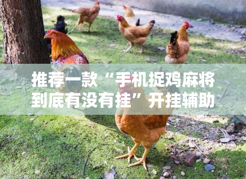 推荐一款“手机捉鸡麻将到底有没有挂”开挂辅助脚本+详细开挂安装教程
