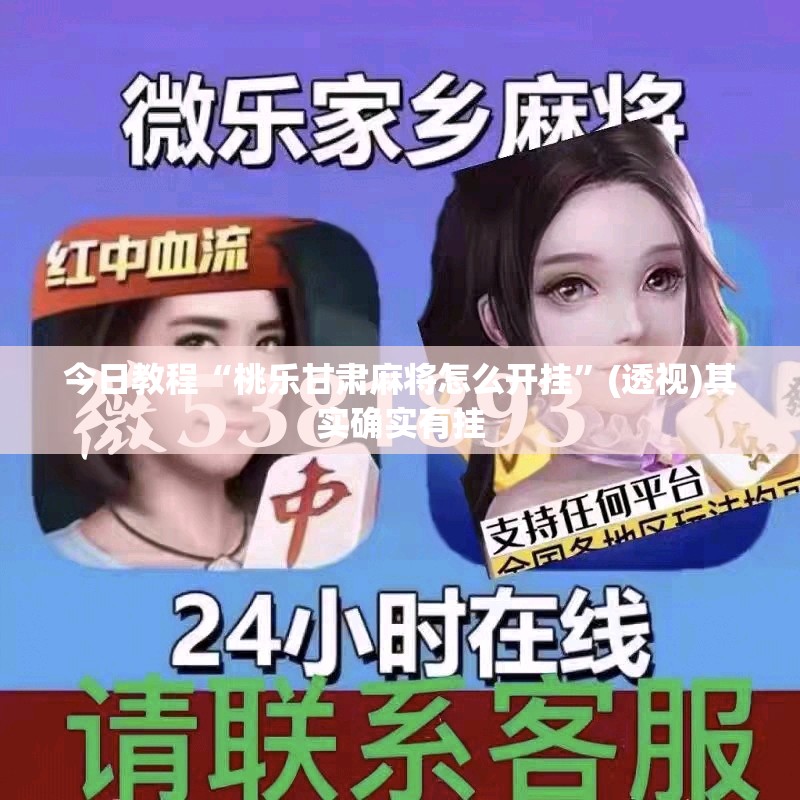 今日教程“桃乐甘肃麻将怎么开挂	”(透视)其实确实有挂