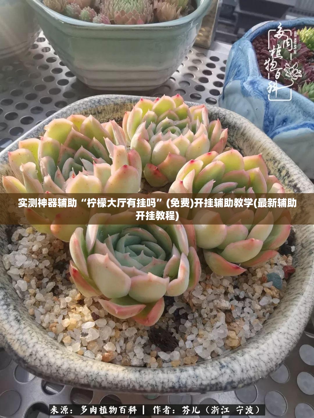 实测神器辅助“柠檬大厅有挂吗”(免费)开挂辅助教学(最新辅助开挂教程)