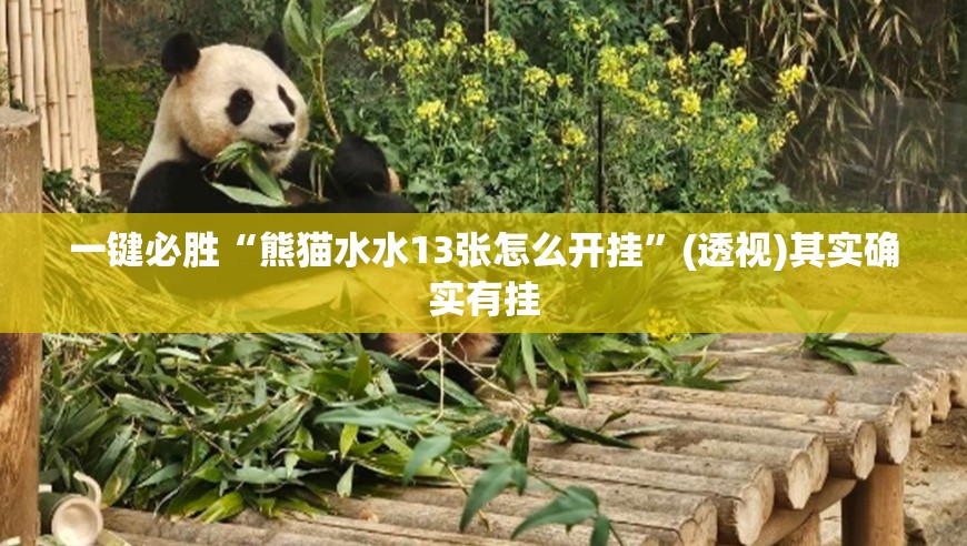 一键必胜“熊猫水水13张怎么开挂”(透视)其实确实有挂
