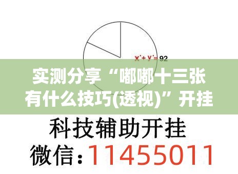实测分享“嘟嘟十三张有什么技巧(透视)”开挂辅助脚本+详细开挂安装教程