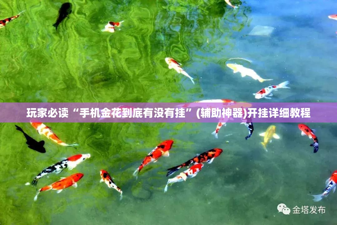 玩家必读“手机金花到底有没有挂”(辅助神器)开挂详细教程