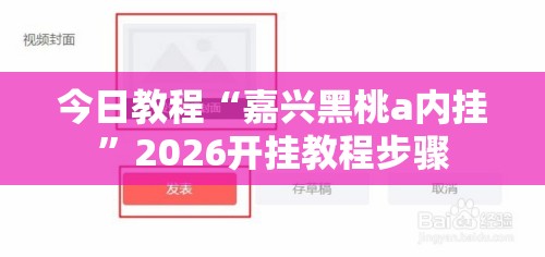 今日教程“嘉兴黑桃a内挂”2026开挂教程步骤