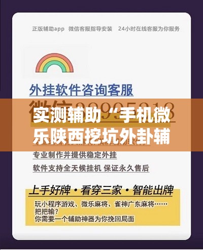 实测辅助“手机微乐陕西挖坑外卦辅助软件下载”详细分享装挂步骤