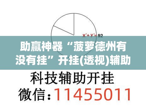 助赢神器“菠萝德州有没有挂”开挂(透视)辅助教程