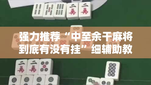 强力推荐“中至余干麻将到底有没有挂”细辅助教程分享