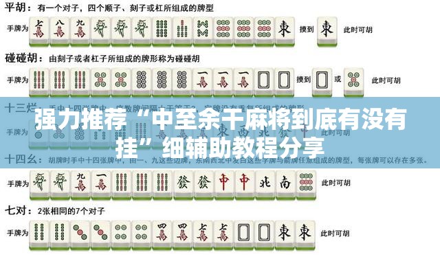 强力推荐“中至余干麻将到底有没有挂”细辅助教程分享