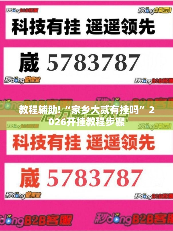 教程辅助!“家乡大贰有挂吗”2026开挂教程步骤
