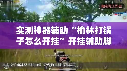 实测神器辅助“榆林打锅子怎么开挂”开挂辅助脚本+详细开挂安装教程