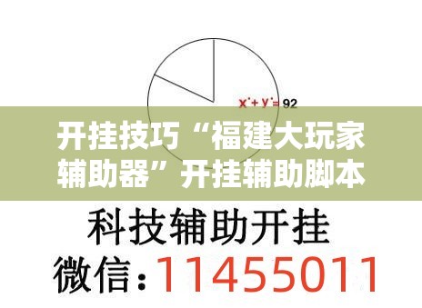 开挂技巧“福建大玩家辅助器”开挂辅助脚本+详细开挂安装教程