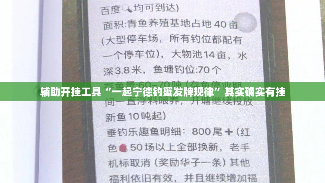 辅助开挂工具“一起宁德钓蟹发牌规律”其实确实有挂