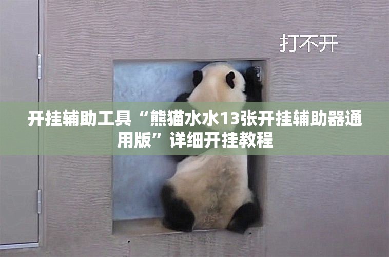 开挂辅助工具“熊猫水水13张开挂辅助器通用版	”详细开挂教程