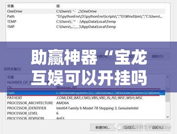 助赢神器“宝龙互娱可以开挂吗”细辅助教程分享
