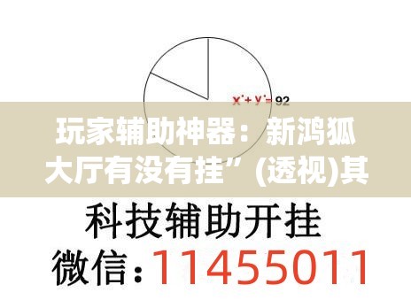 玩家辅助神器：新鸿狐大厅有没有挂”(透视)其实确实有挂
