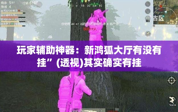 玩家辅助神器：新鸿狐大厅有没有挂	”(透视)其实确实有挂