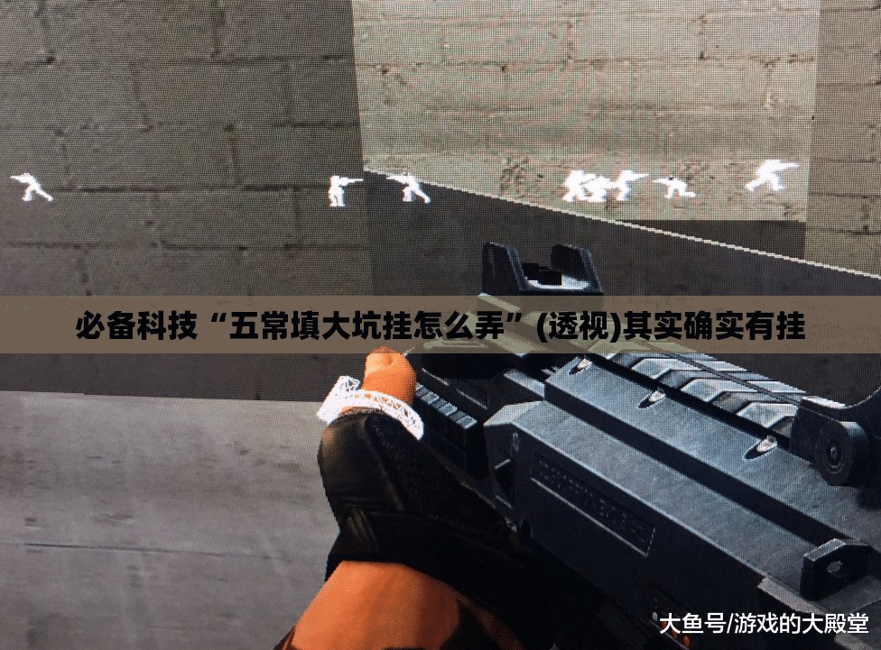 必备科技“五常填大坑挂怎么弄”(透视)其实确实有挂