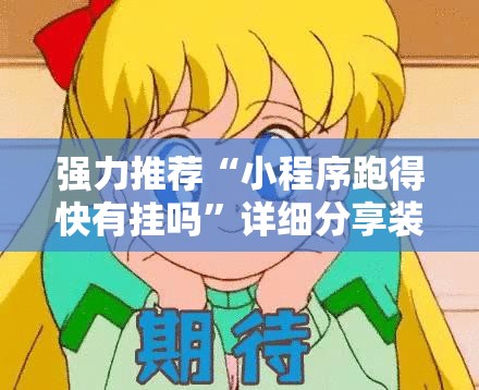 强力推荐“小程序跑得快有挂吗”详细分享装挂步骤