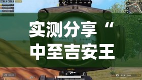 实测分享“中至吉安王炸开挂辅助器通用版”(透视)其实确实有挂
