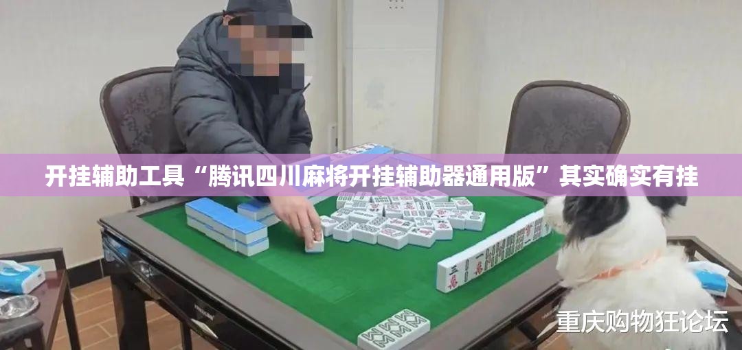 开挂辅助工具“腾讯四川麻将开挂辅助器通用版”其实确实有挂