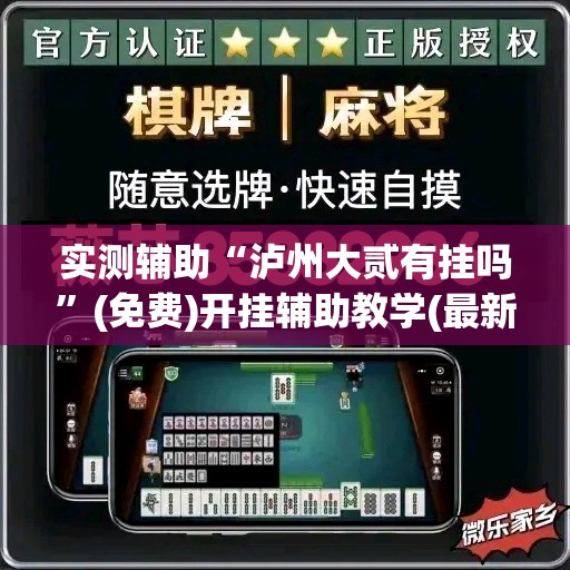 实测辅助“泸州大贰有挂吗”(免费)开挂辅助教学(最新辅助开挂教程)