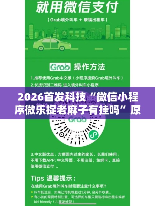 2026首发科技“微信小程序微乐捉老麻子有挂吗”原来可以开挂
