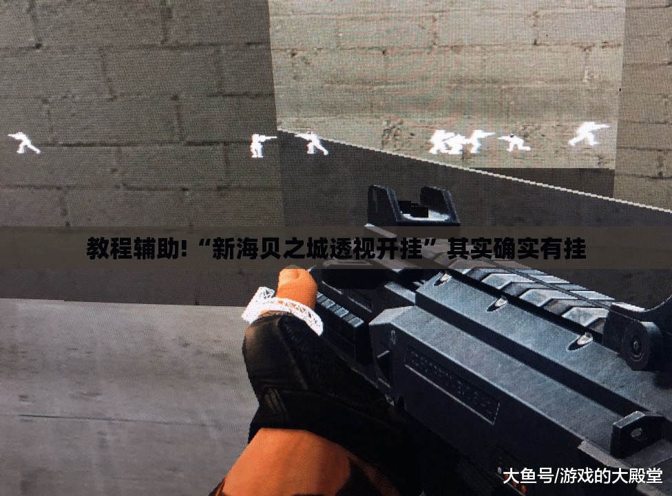 教程辅助!“新海贝之城透视开挂”其实确实有挂