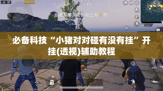 必备科技“小猪对对碰有没有挂”开挂(透视)辅助教程