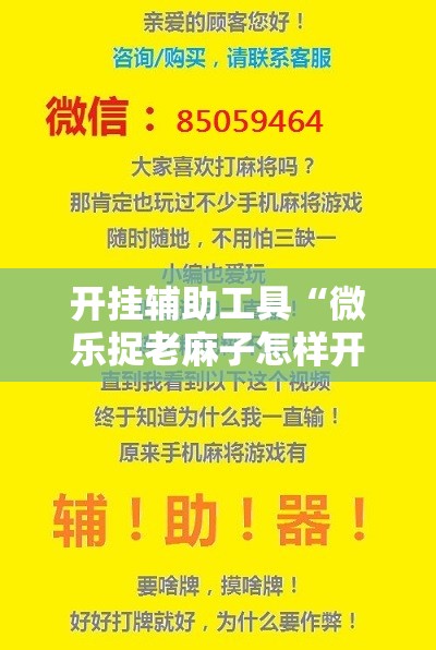 开挂辅助工具“微乐捉老麻子怎样开挂”开挂详细教程