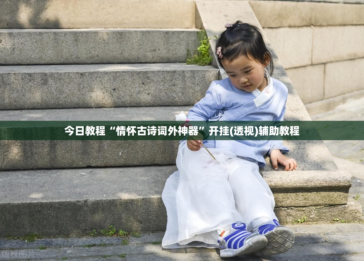 今日教程“情怀古诗词外神器”开挂(透视)辅助教程