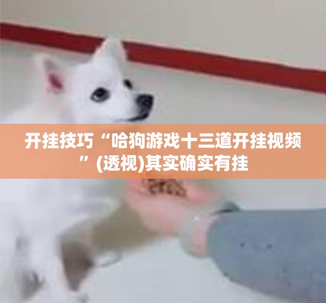 开挂技巧“哈狗游戏十三道开挂视频”(透视)其实确实有挂