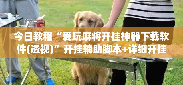 今日教程“爱玩麻将开挂神器下载软件(透视)”开挂辅助脚本+详细开挂安装教程