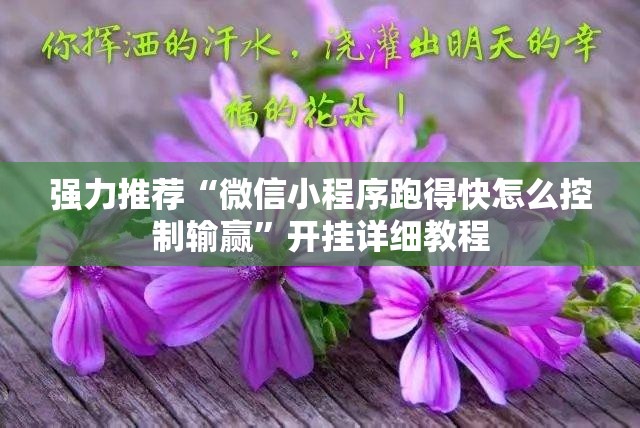 强力推荐“微信小程序跑得快怎么控制输赢”开挂详细教程