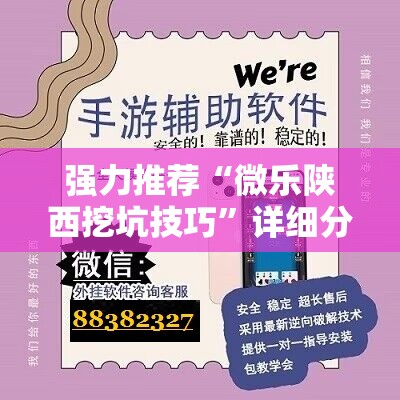 强力推荐“微乐陕西挖坑技巧”详细分享装挂步骤