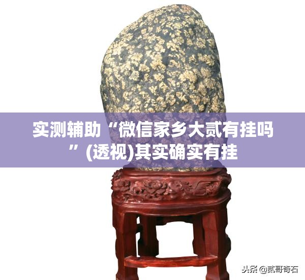 实测辅助“微信家乡大贰有挂吗”(透视)其实确实有挂