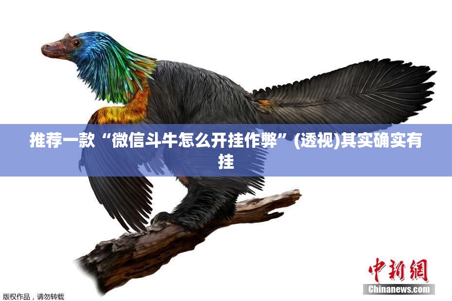 推荐一款“微信斗牛怎么开挂作弊”(透视)其实确实有挂
