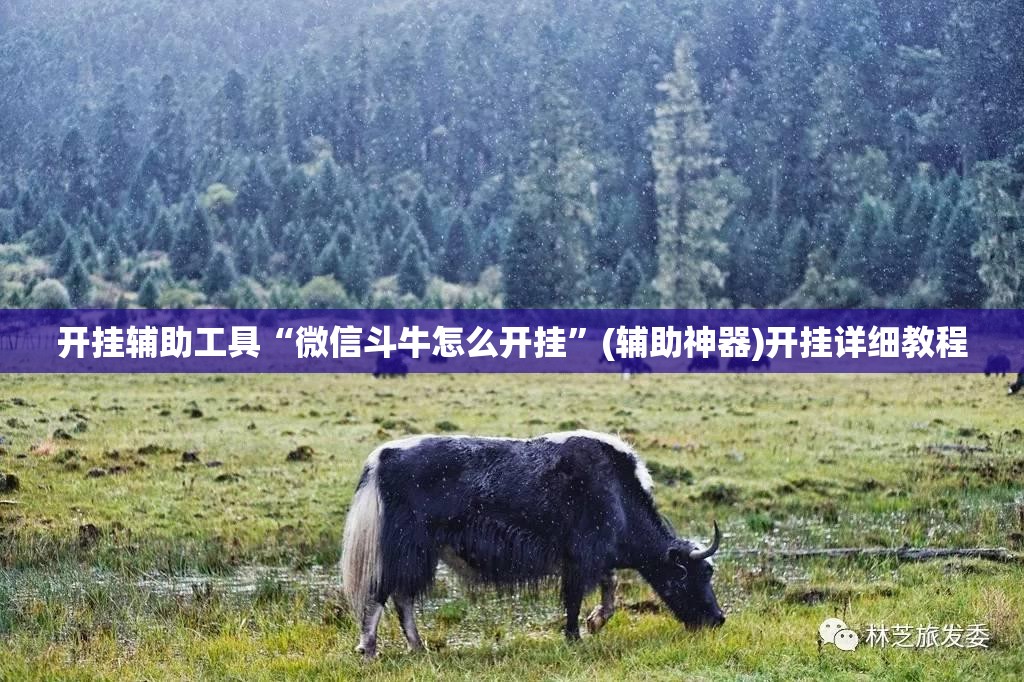 开挂辅助工具“微信斗牛怎么开挂”(辅助神器)开挂详细教程