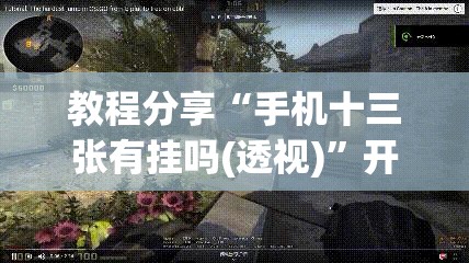教程分享“手机十三张有挂吗(透视)”开挂辅助脚本+详细开挂安装教程