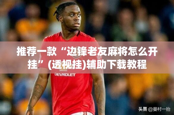 推荐一款“边锋老友麻将怎么开挂”(透视挂)辅助下载教程