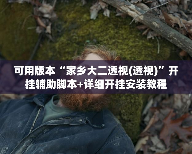 可用版本“家乡大二透视(透视)”开挂辅助脚本+详细开挂安装教程