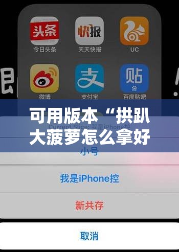 可用版本“拱趴大菠萝怎么拿好牌	”科技辅助神器手机版