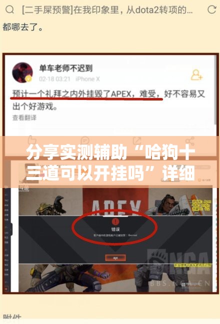 分享实测辅助“哈狗十三道可以开挂吗”详细开挂教程
