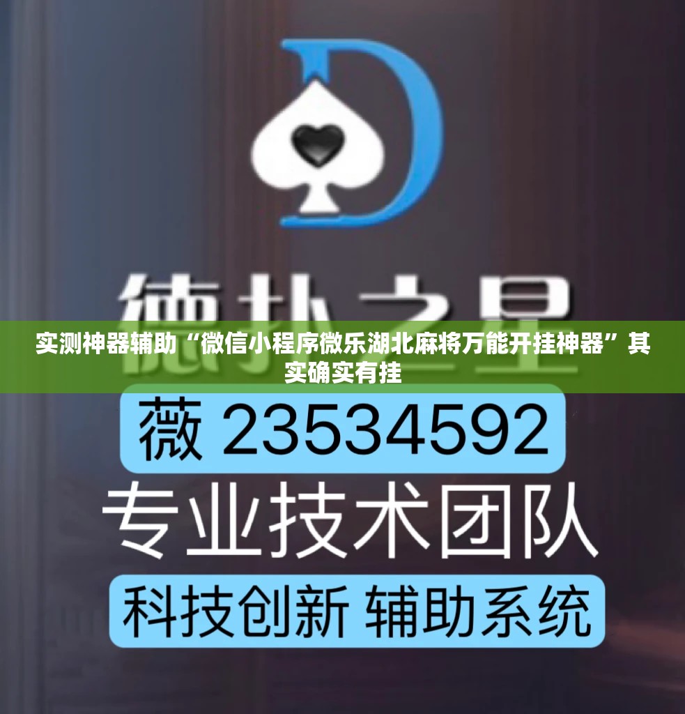 实测神器辅助“微信小程序微乐湖北麻将万能开挂神器”其实确实有挂