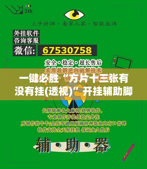 一键必胜“方片十三张有没有挂(透视)”开挂辅助脚本+详细开挂安装教程